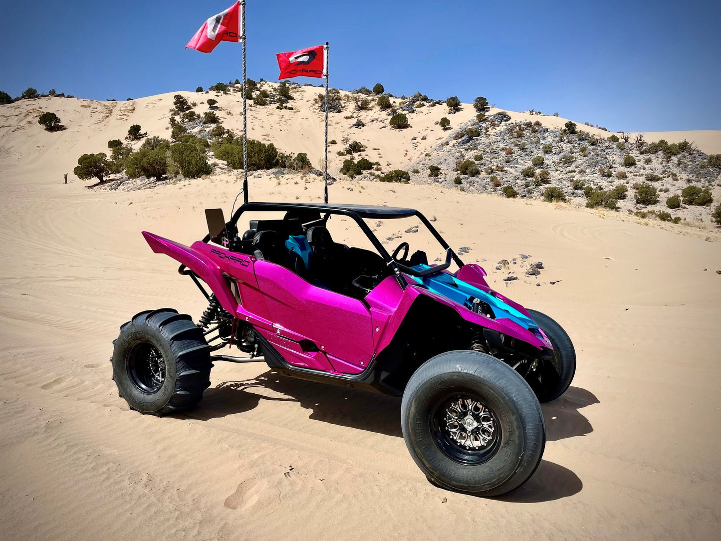 Packard Performance Flag